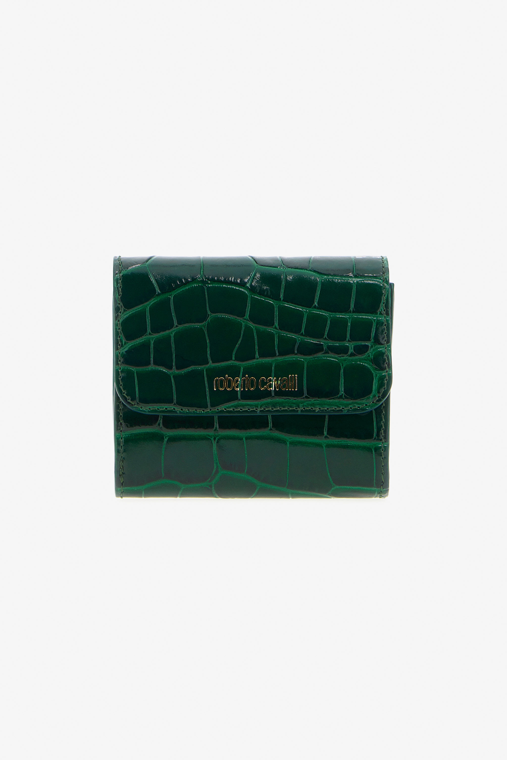 RC Porta carte con stampa coccodrillo Verde scuro TKA004-PZ975