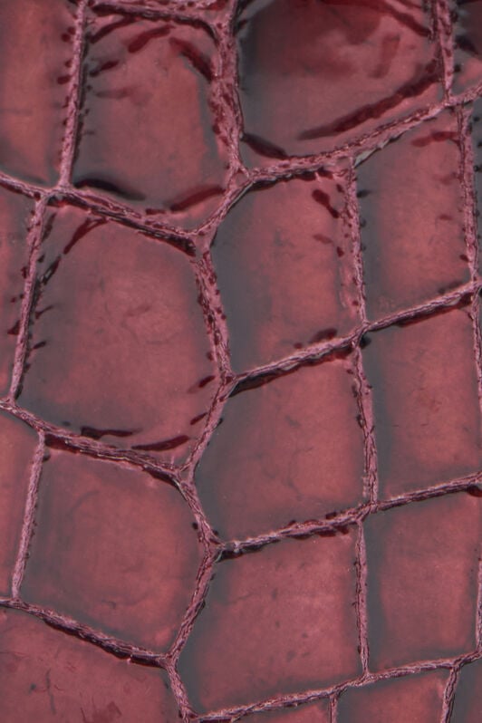 RC Bolso Roar Estampado Cocodrilo RC Bolso Roar Estampado Cocodrilo Rojo oscuro SKB025-PZE01