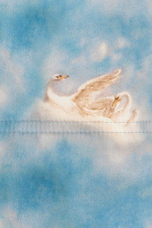 JU Wild Leda-Print Snowsuit Light blue RJT40K-5RI07