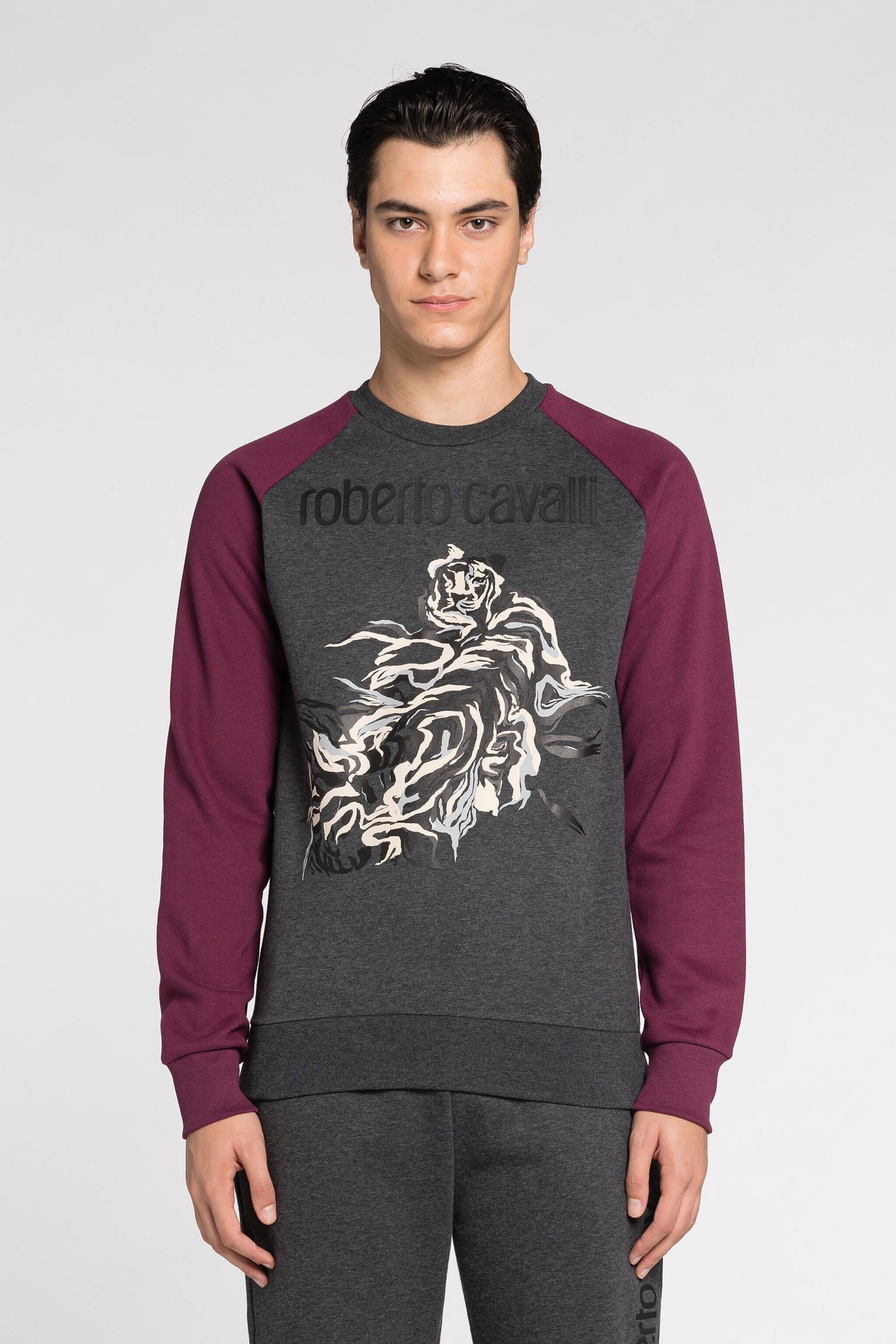 RC Sweat à imprimé tigre Dark Grey JST65A-CF062