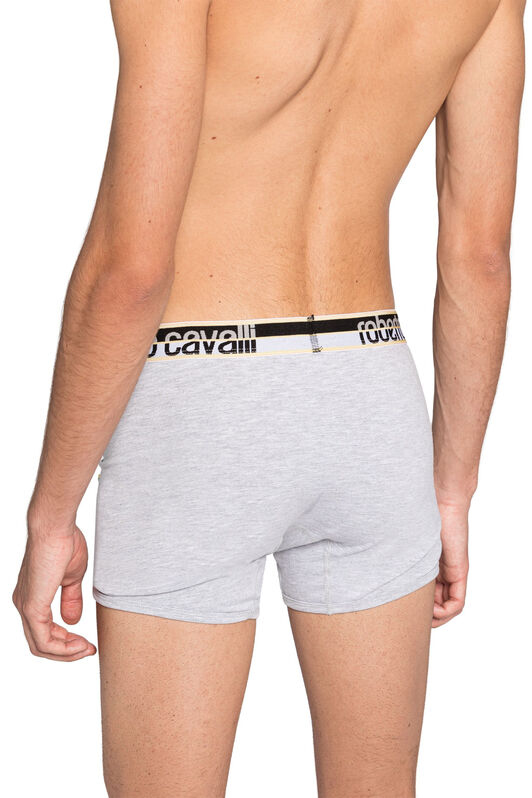 RC Logo Boxer Briefs Grigio KOO00B-JV027
