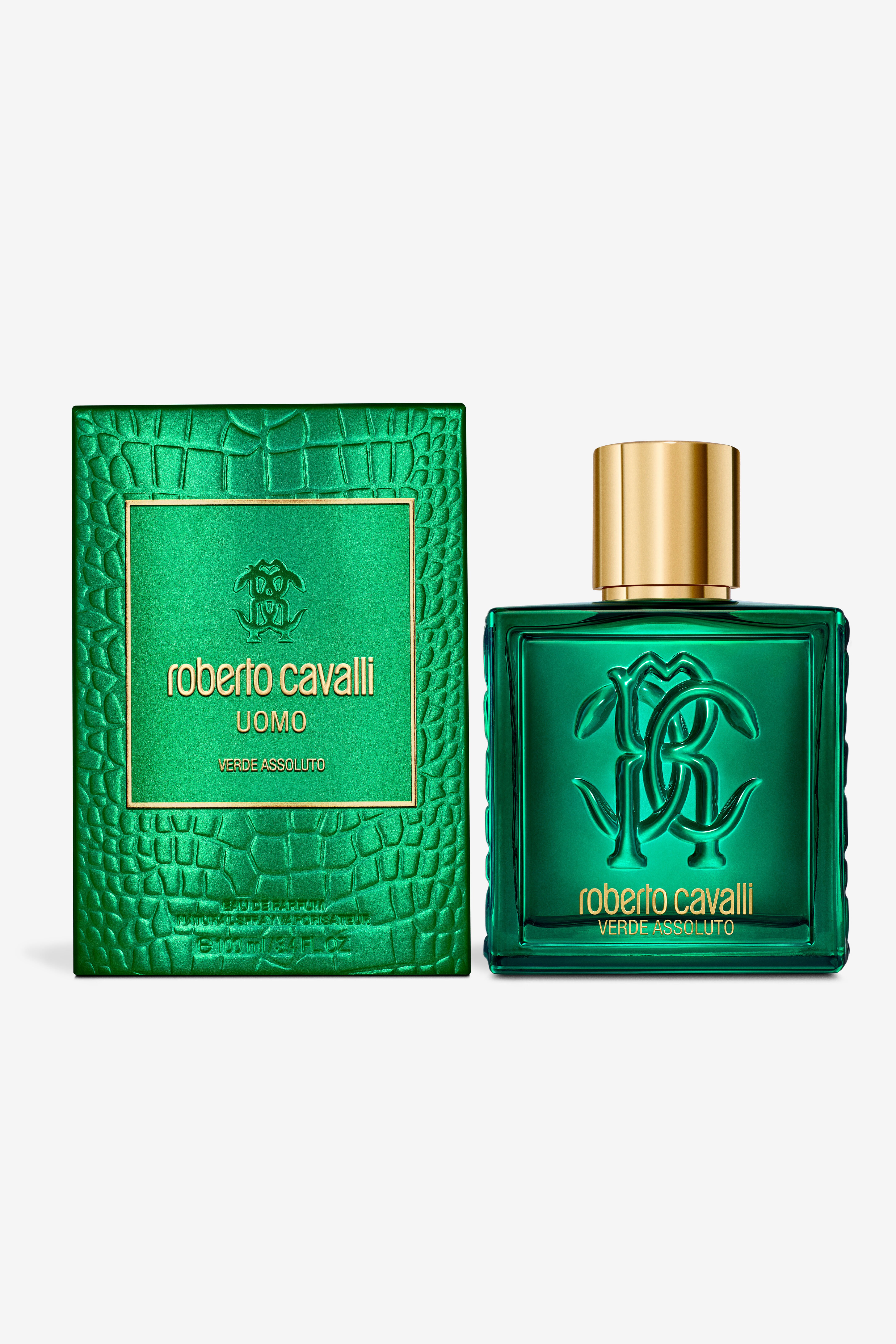 RC Verde Assoluto 100ML GENERIC WALI01-II042