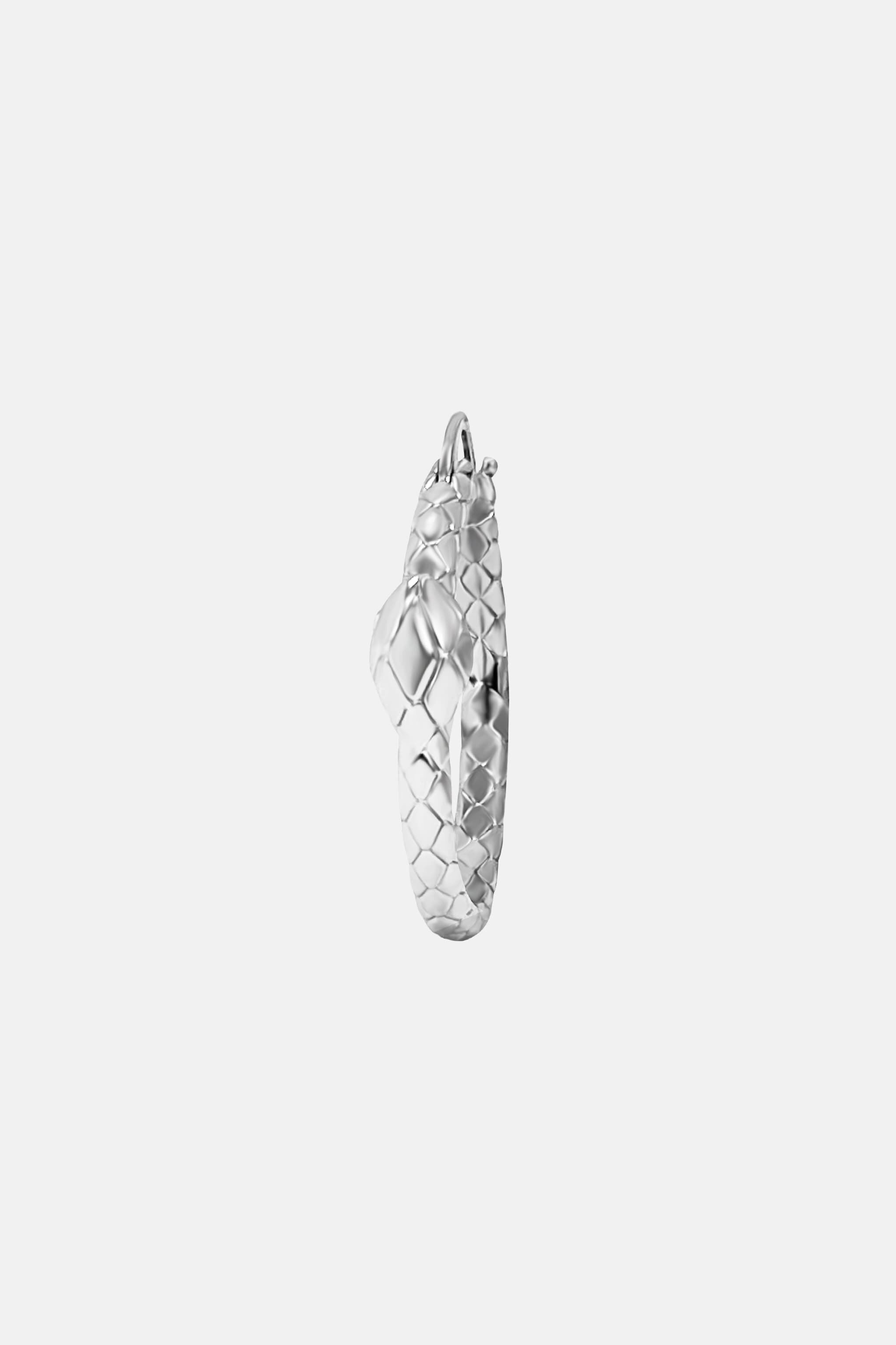 JC Just Cavalli Earrings Argent RALT17-IT126
