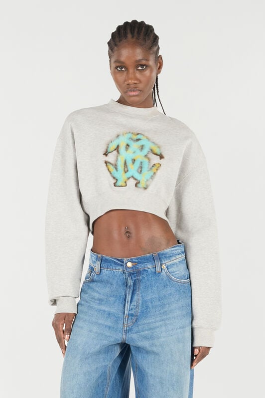 RC Cropped Sweatshirt with Mirror Snake Monogram RC Cropped Sweatshirt with Mirror Snake Monogram Gray VKT68A-CF007