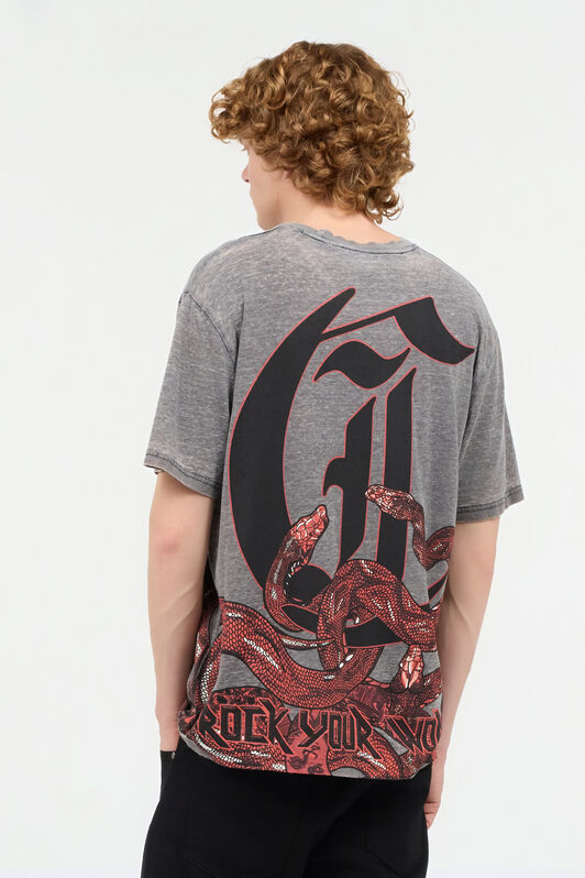 JC T-Shirt With Logo And Snakes Gray UFT031-UF051