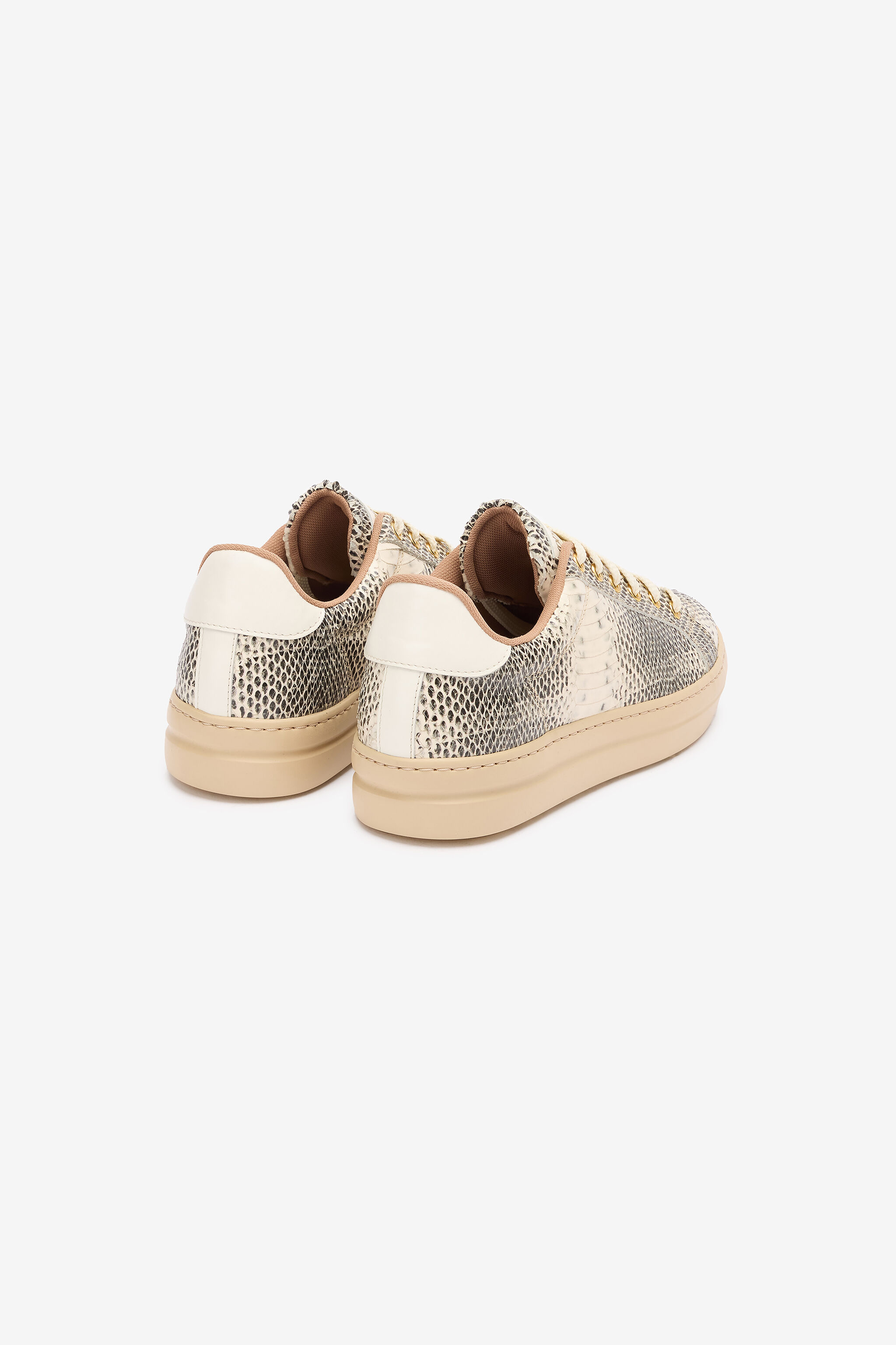 RC Sneakers With Cobra Print Black/White UKS034-PZ581