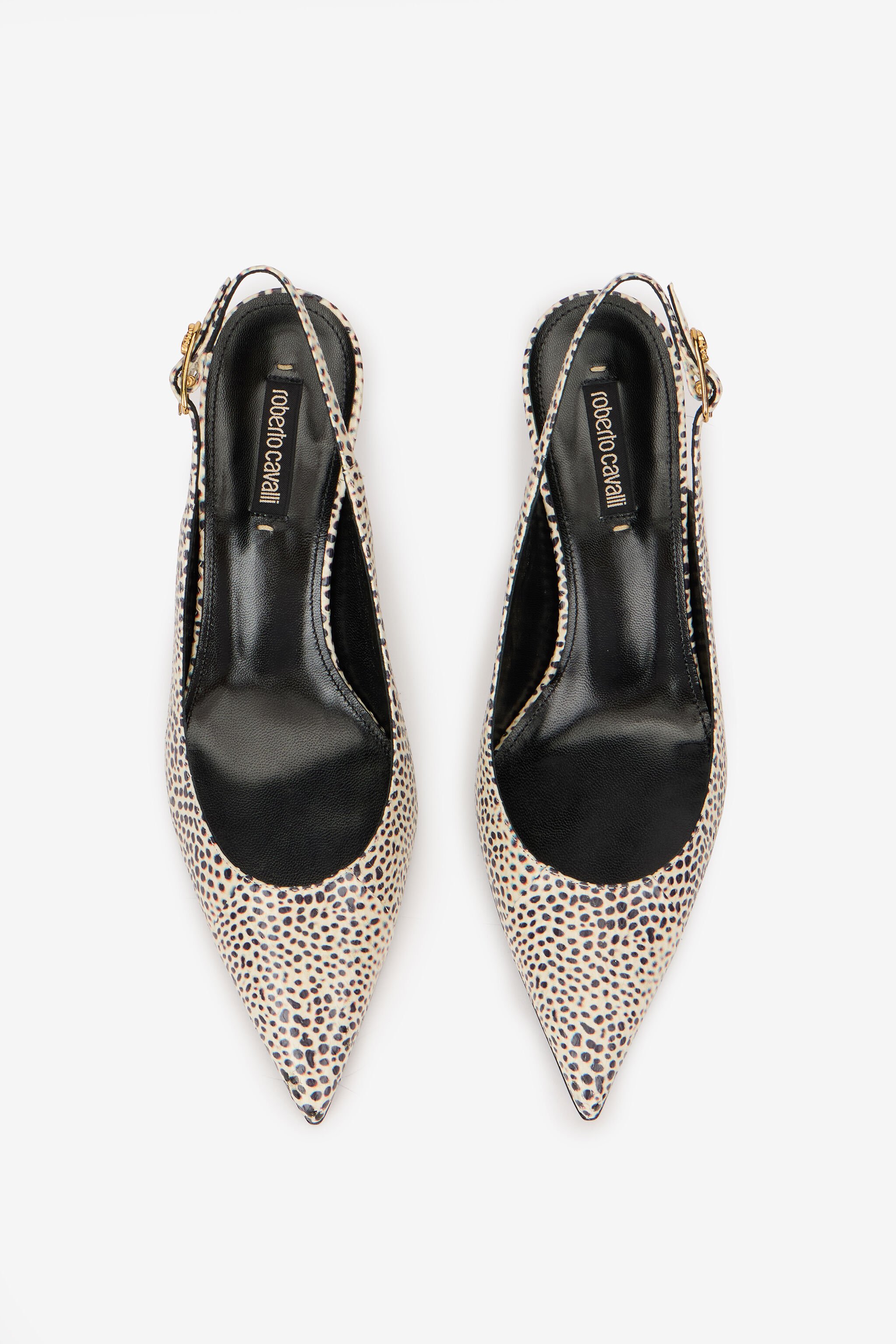 RC Shark Print Leather Slingbacks ST.SHARK TKS043-PA045