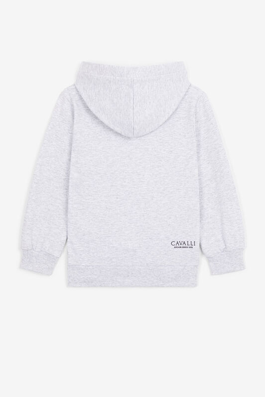 JU Kapuzensweatshirt mit animalischem Patchwork-Print Grau PJT972-CF050