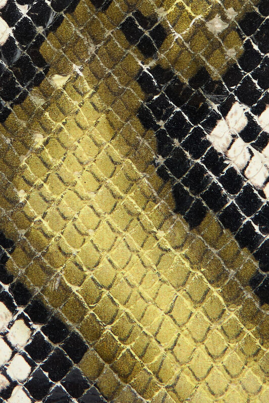 Pythonprint Roar Bag in VERDE/OCRA for Women Roberto Cavalli®