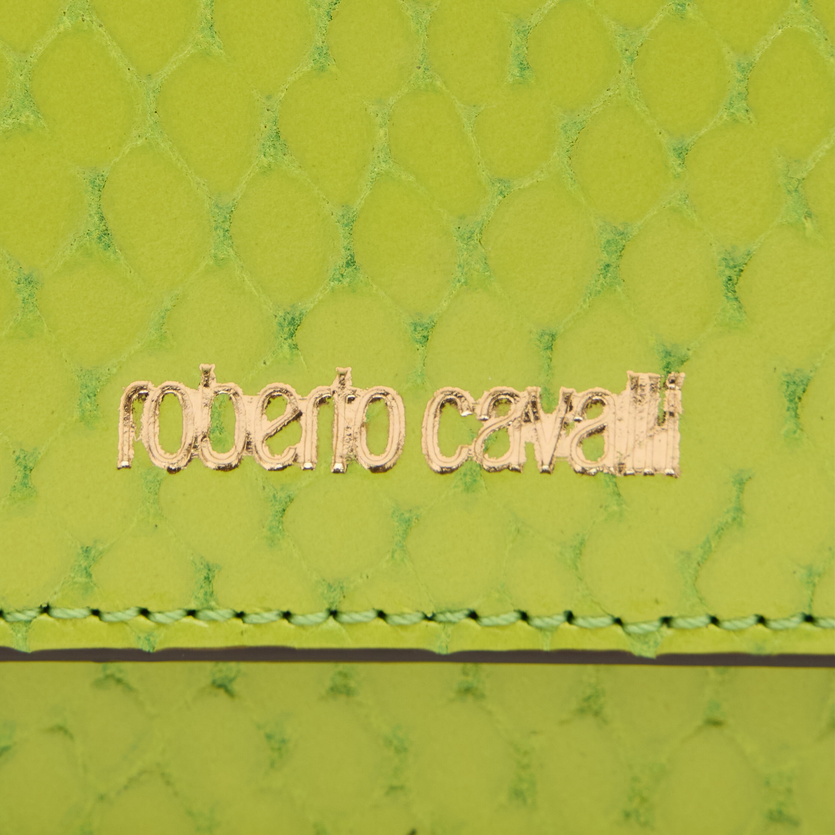RC Tarjetero efecto serpiente con logotipo Verde claro TKA002-PZV98