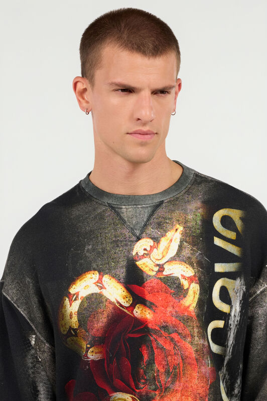 RC Roses And Snake Print Sweatshirt Red URT68C-5ON67