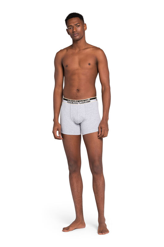 RC Logo Boxer Briefs RC Logo Boxer Briefs Gray JSO00A-JV025