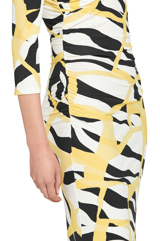 RC Macro Tiger Twiga Print Maxi Dress PALE ARAGONITE/BLACK IWT147-LNR38