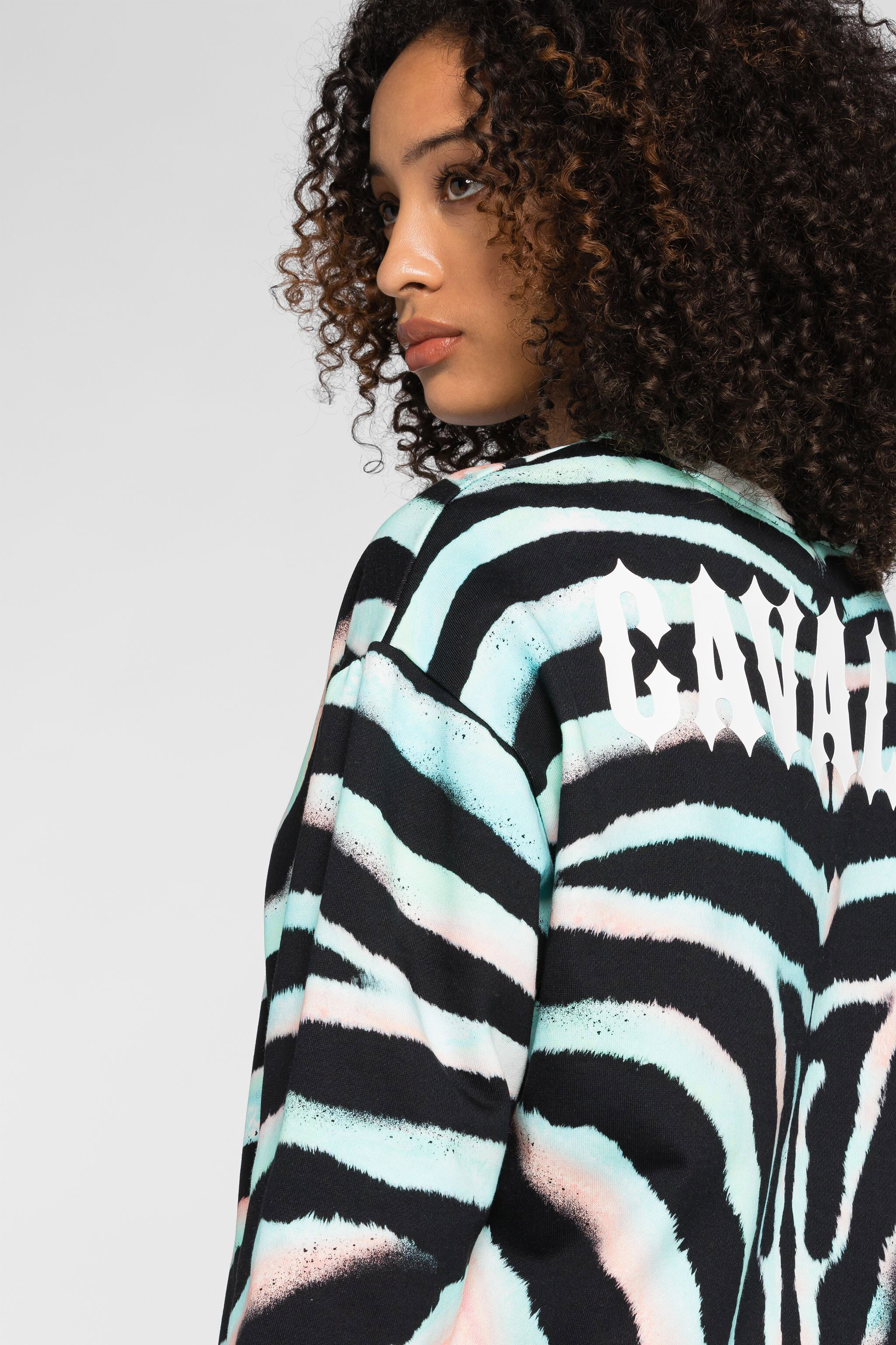 RC Zebra-Print Logo Cotton Sweatshirt Light green/Black OQT66I-5OD03