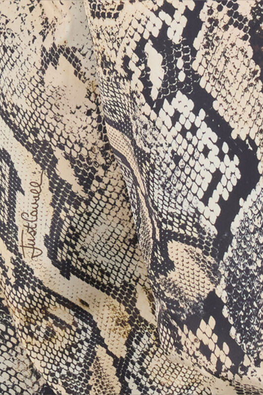 JC Hooded Jacket With Python Print CORTECCIA UFT199-UF265