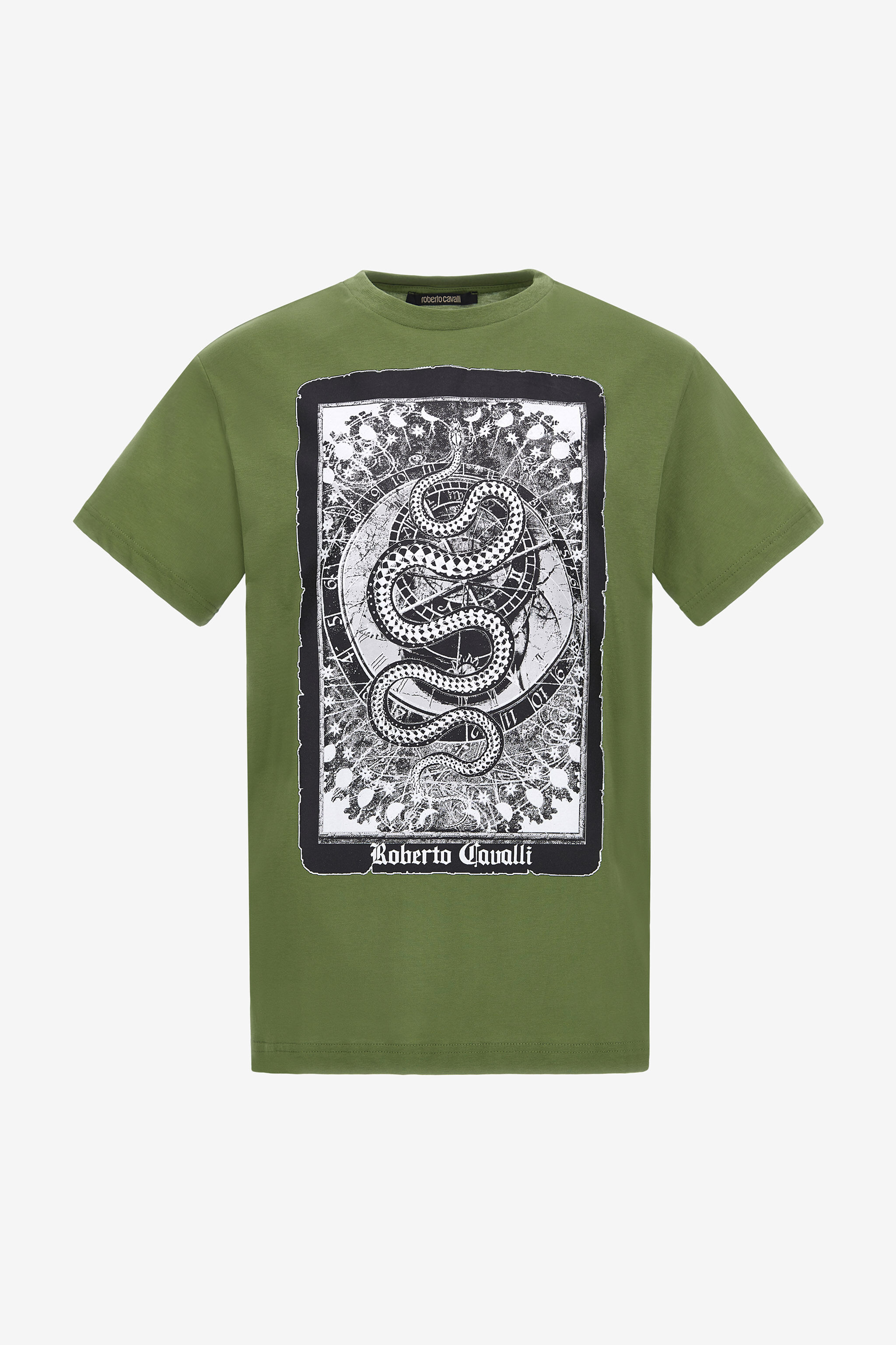 RC T-shirt with Snake print Green NOT60F-JD060