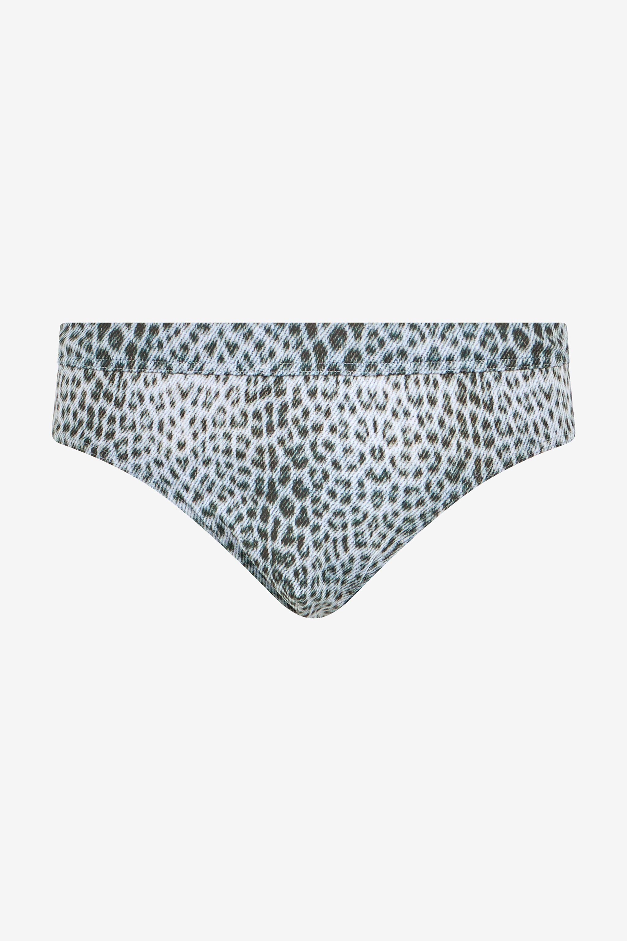 RC Swim Briefs with Baby Jaguar Print QUIET HARBOR WRH01G-LNR31