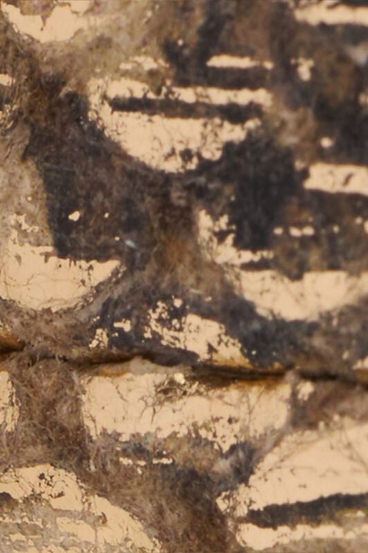 RC Golden Python Motif Belt with Snake Head Detail GOLD WWC001-PZS01