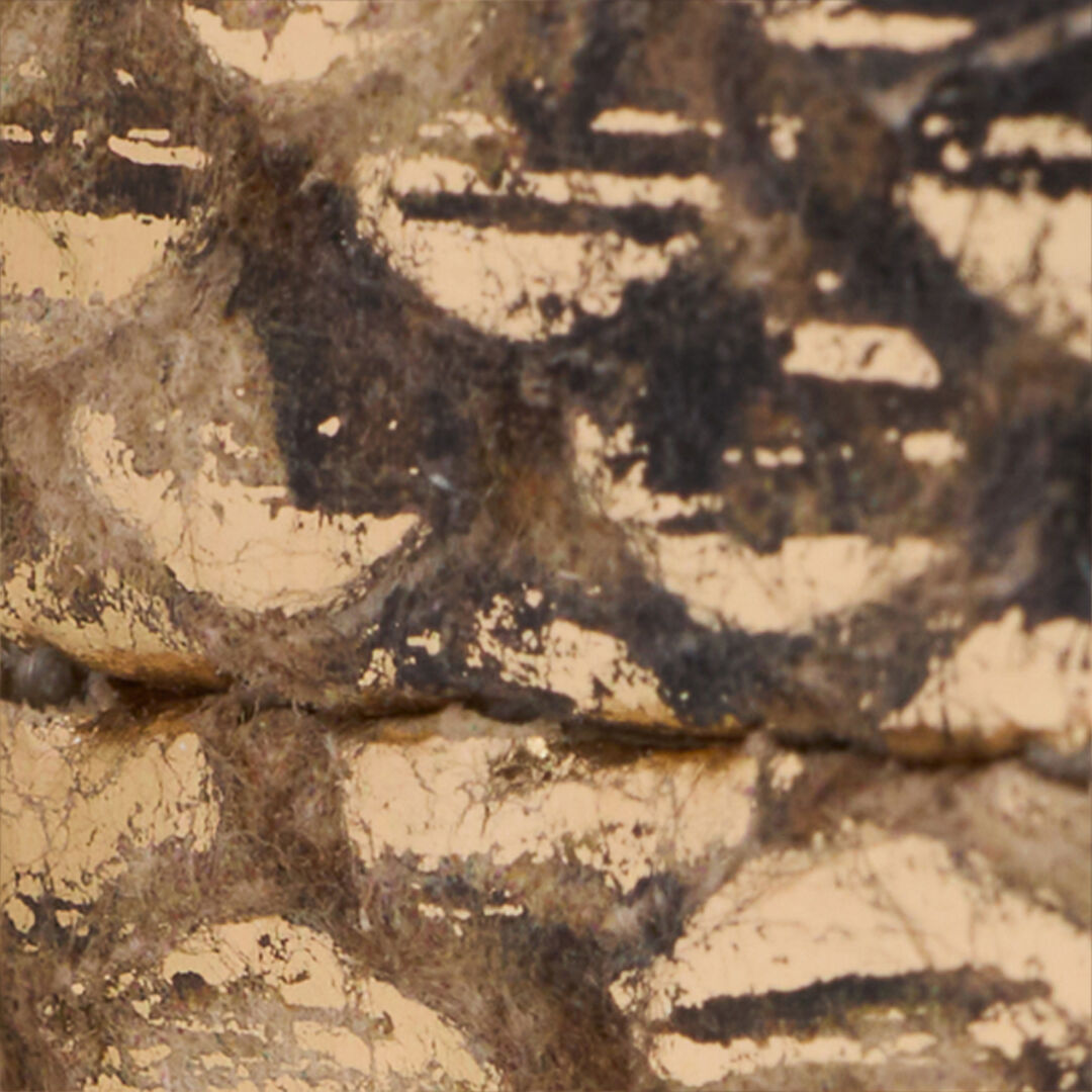 RC Golden Python Motif Belt with Snake Head Detail GOLD WWC001-PZS01