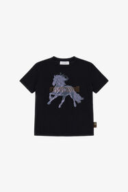 ${brand} Camiseta estampada ${colorDescription} ${masterID}