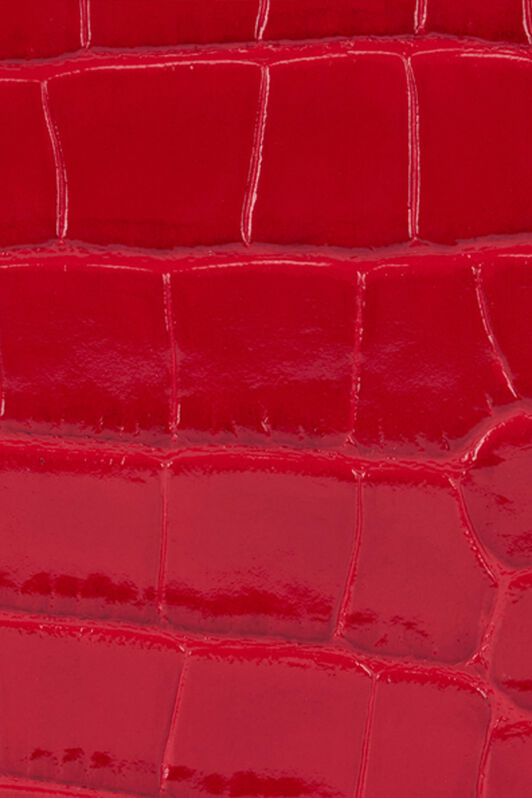 RC Roar Pouch RC Roar Pouch RED WKA008-PZ975