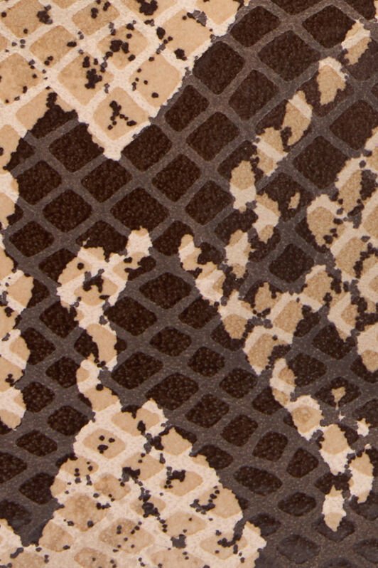RC Snake Print Wallet On Chain with Mirror Snake Monogram ROCK BEIGE QOA00D-PZO36