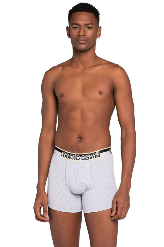RC Logo Boxer Briefs RC Logo Boxer Briefs Gray JSO00A-JV025