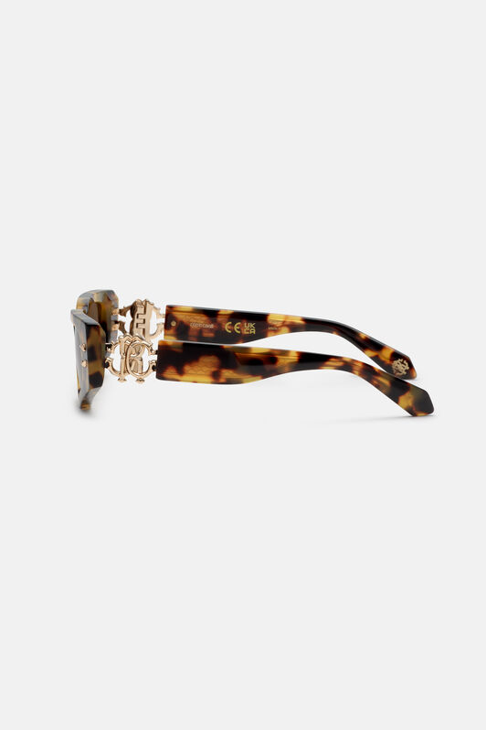 RC Sunglasses with rectangular front and fangs Braun ALD024-ID181