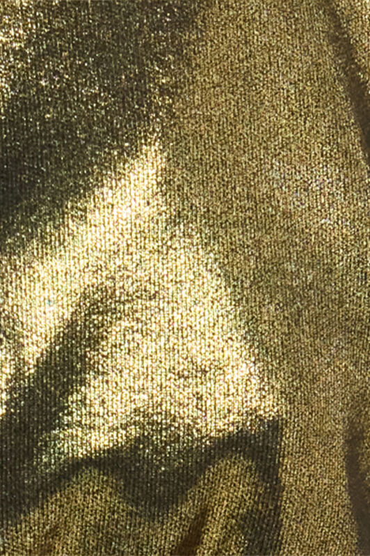 RC Golden Bikini Brief GOLD WWW013-JE032