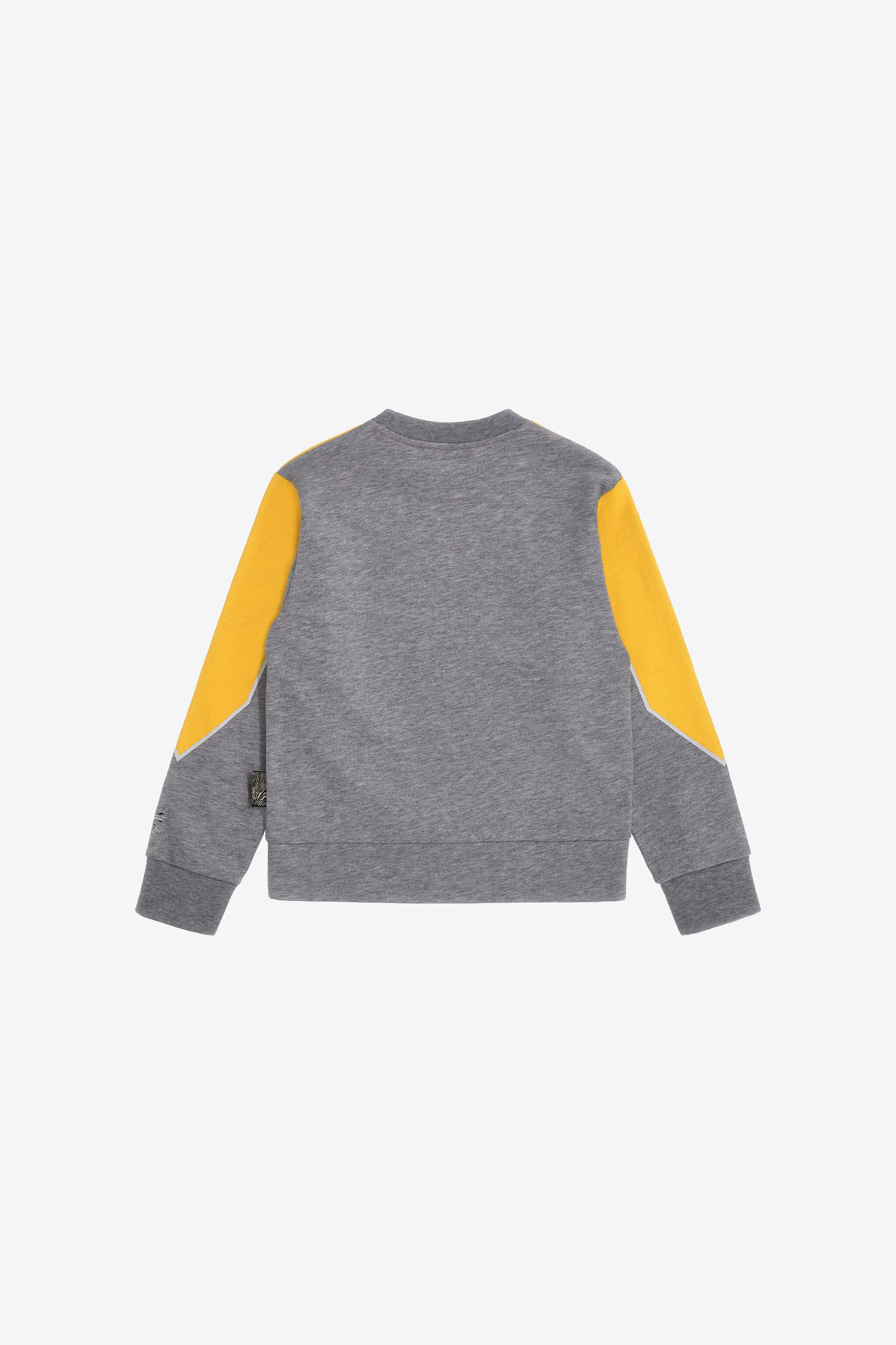 JU Printed sweatshirt Gris SJT924-CF050