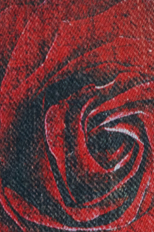 RC Jeans with Rose and Snake Print Rojo URJ217-VMN79