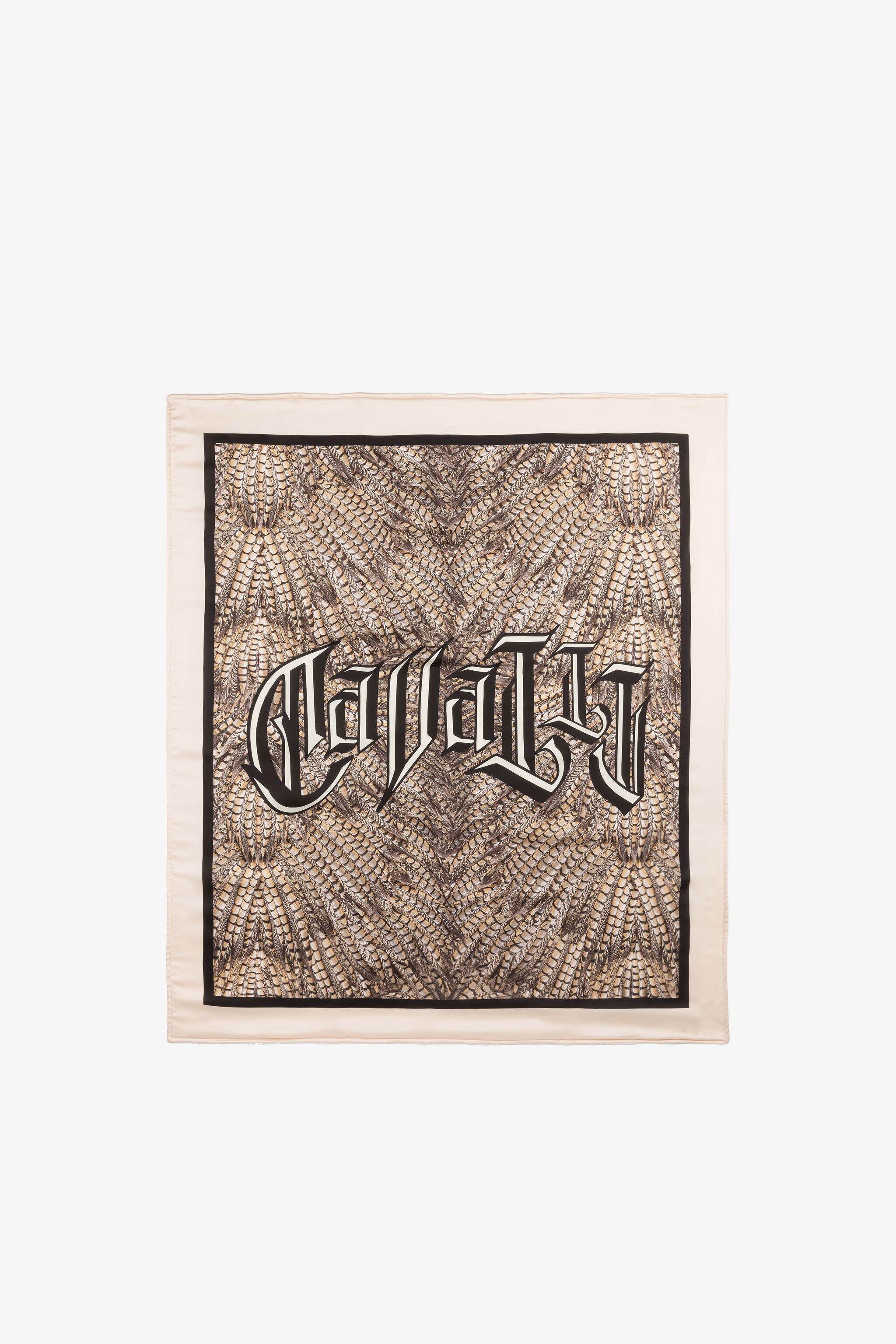 RC Serviette de plage à imprimés Falcon et logo NATURALE QRH00X-7NF52