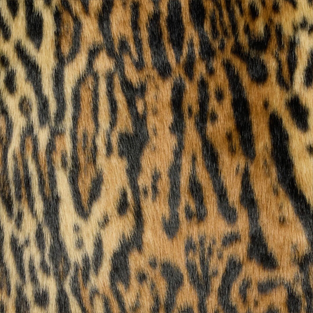 RC Roberto Cavalli Leopard Print Faux Fur Coat Brown VWT501-FT002