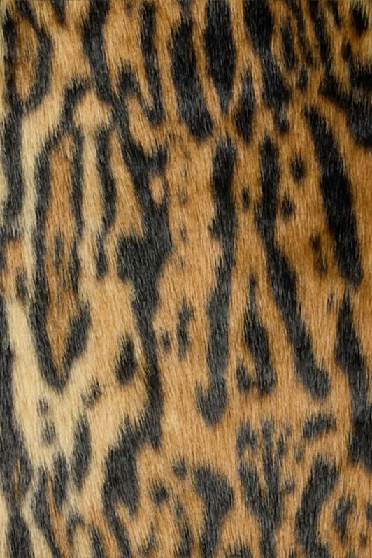 RC Roberto Cavalli Leopard Print Faux Fur Coat RC Roberto Cavalli Leopard Print Faux Fur Coat Brown VWT501-FT002