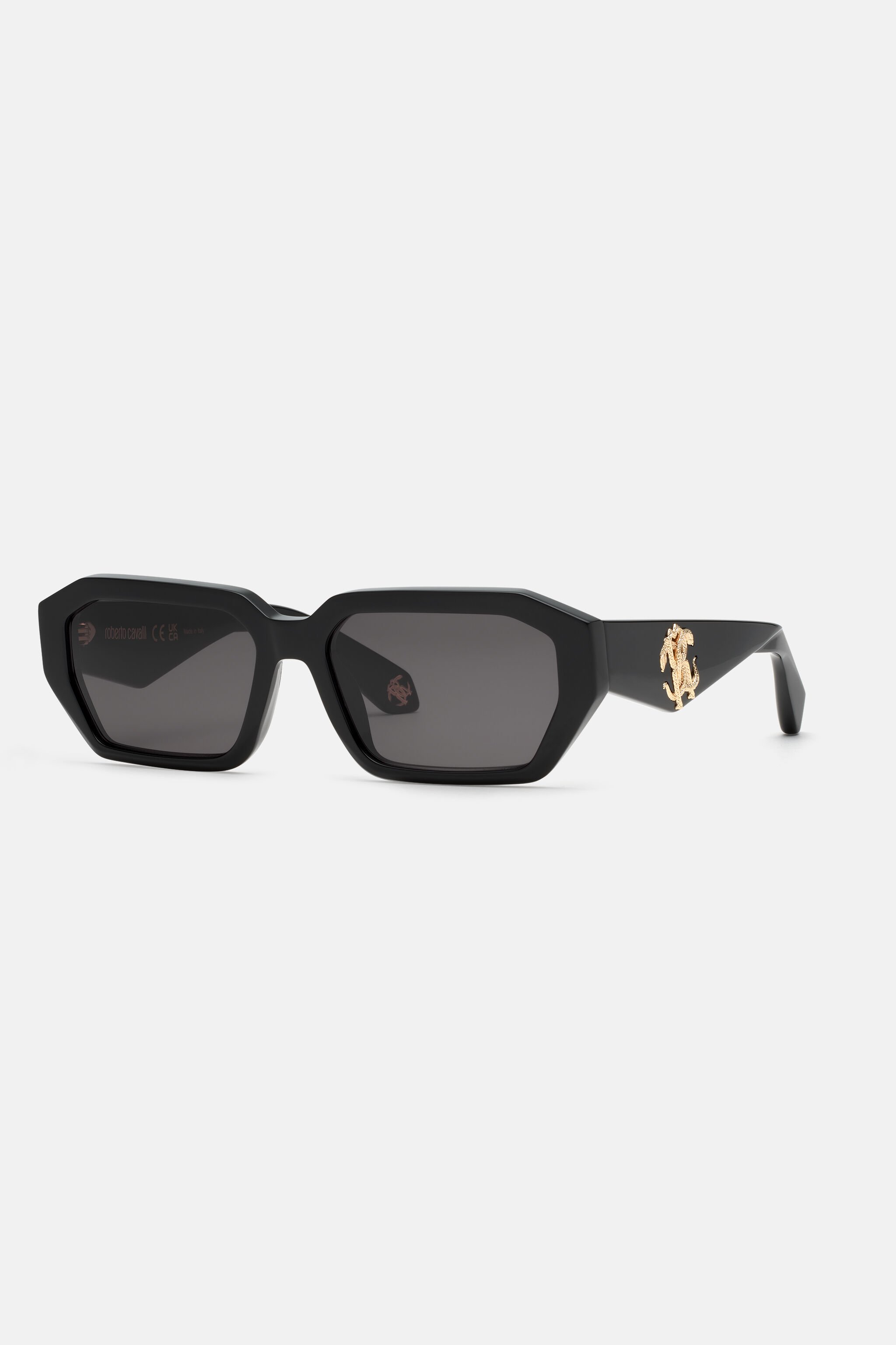 RC Sunglasses with rectangular front shape Black ALD031-ID194