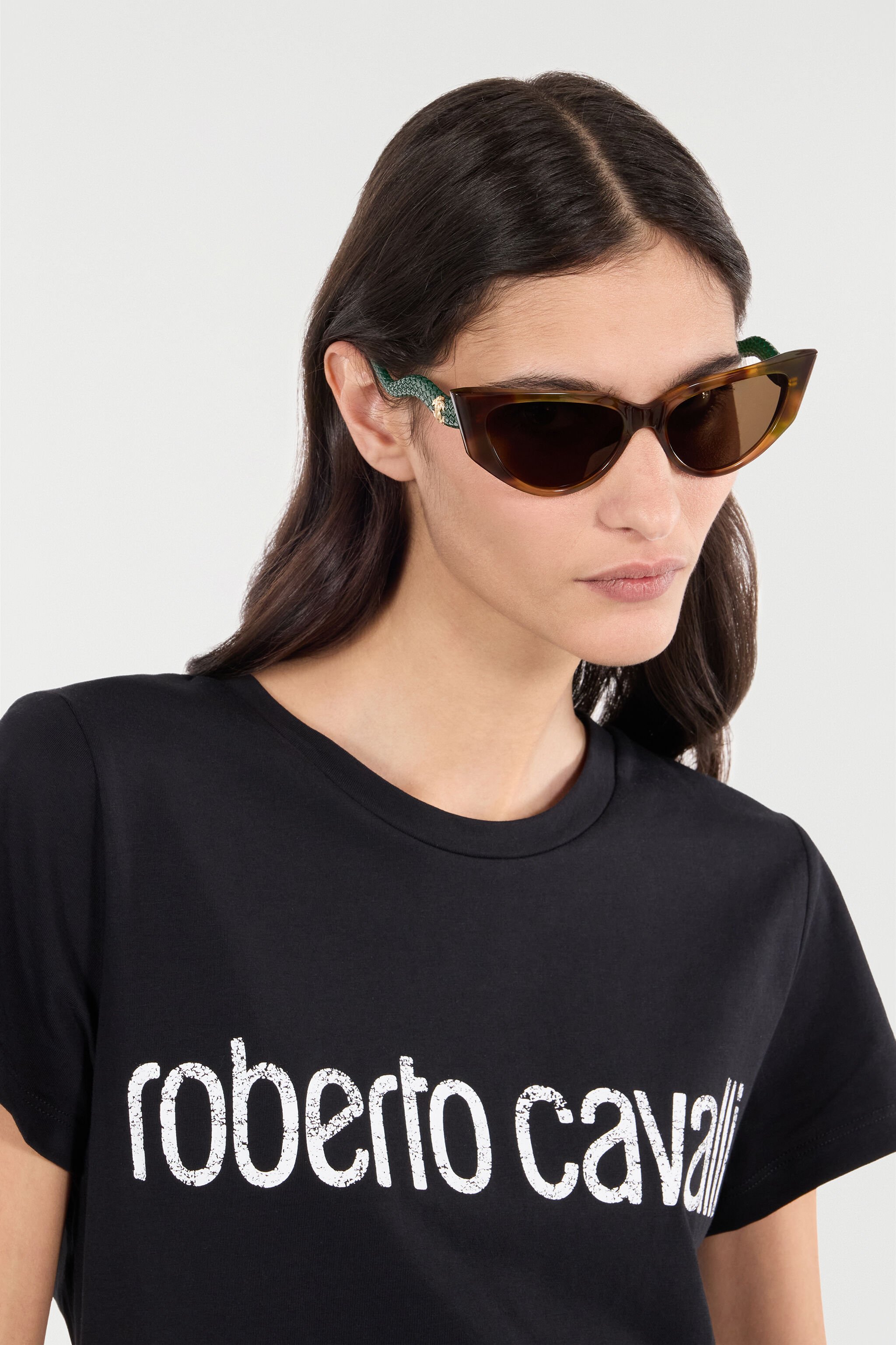 RC Cat-eye shape sunglasses with scale effect temples BROWN/GREEN HAVANA UALD12-ID207