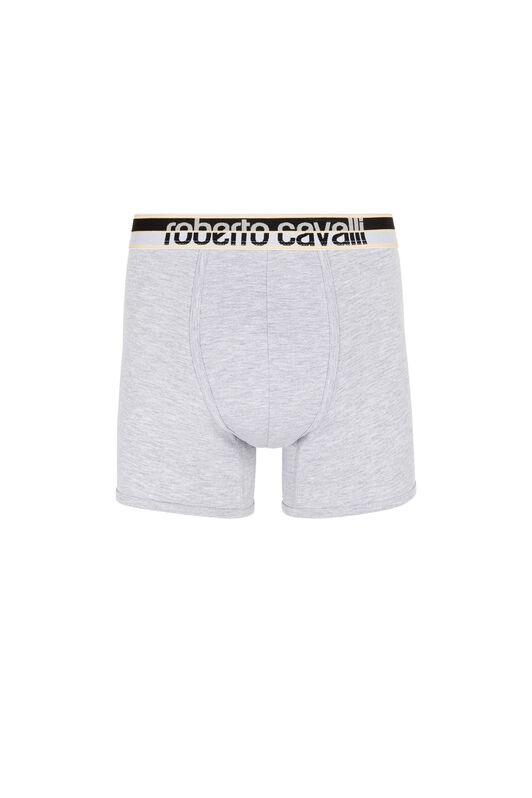 RC Logo Boxer Briefs Grigio KOO00B-JV027