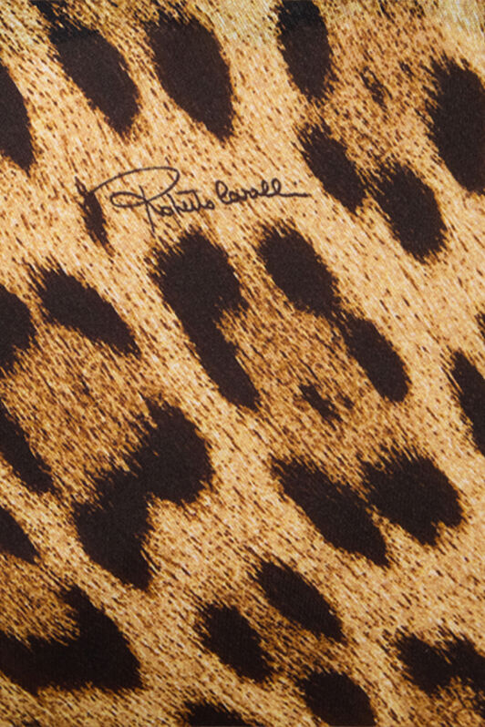 RC Long Silk Dress With Jaguar Skin Print Brown VWT103-HZQ71