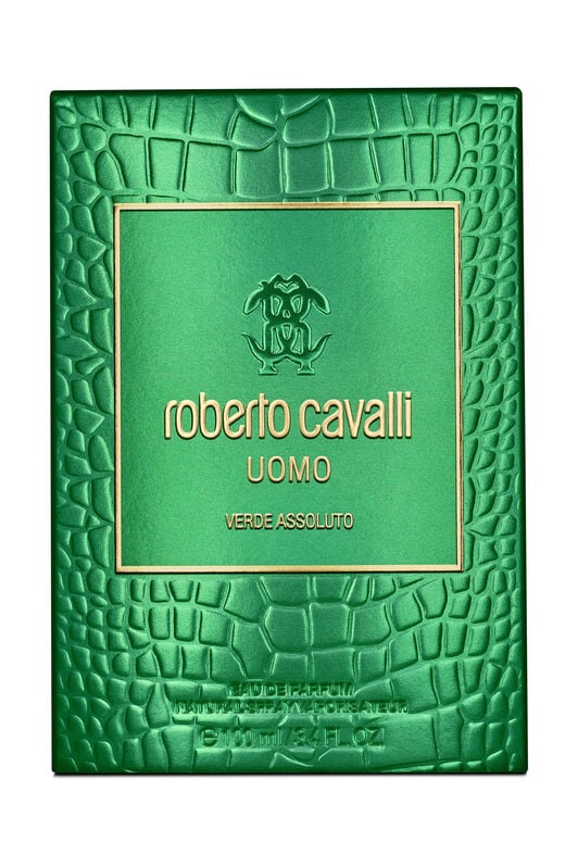 RC Verde Assoluto 100ML GENERIC WALI01-II042