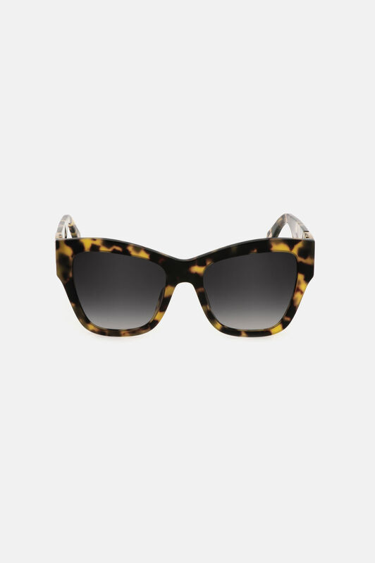 JC Sunglasses Just Cavalli Dark brown RALD23-ID026