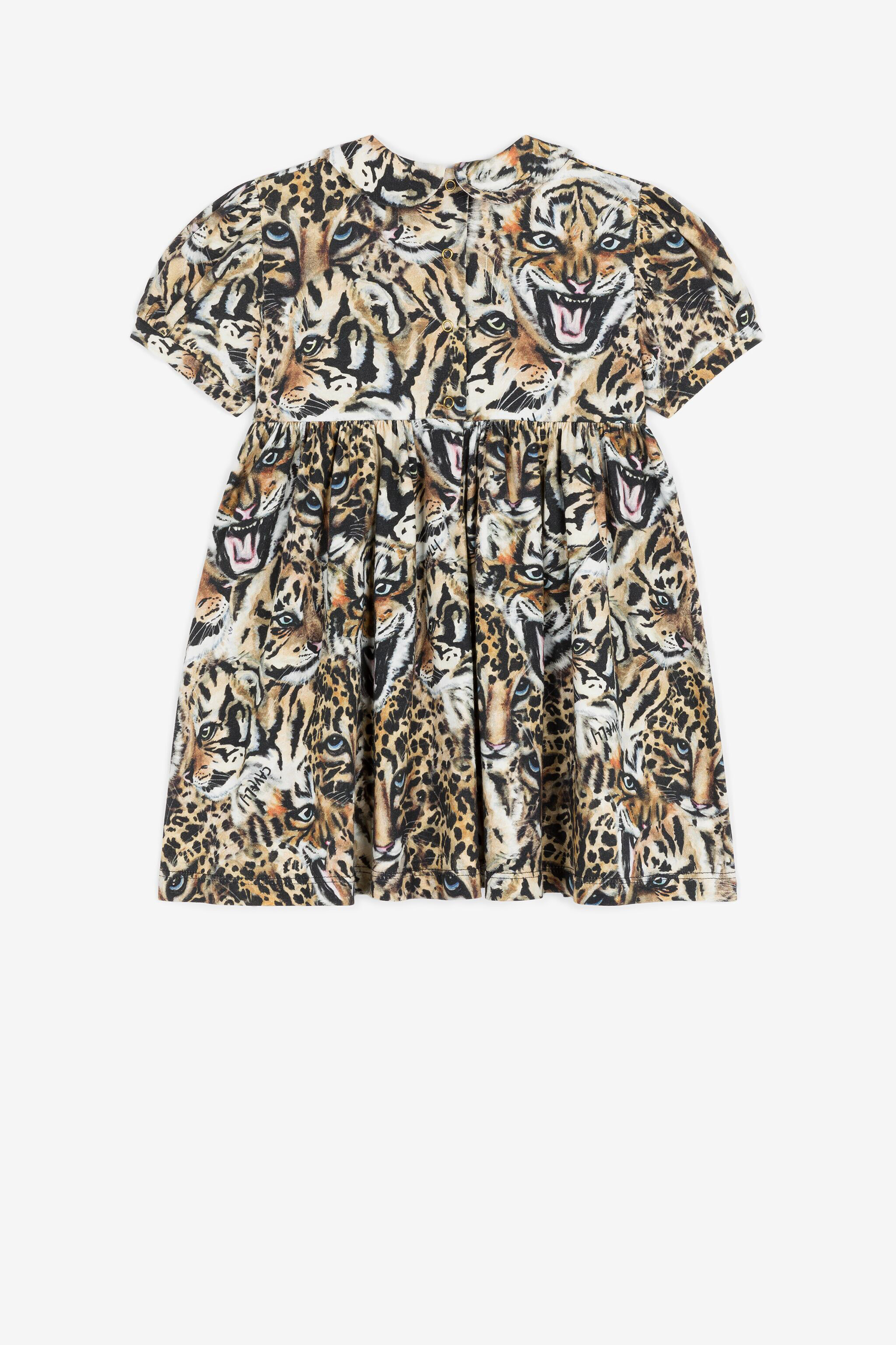 Tiger-Print Dress And Shorts Set in Light brown | Roberto
