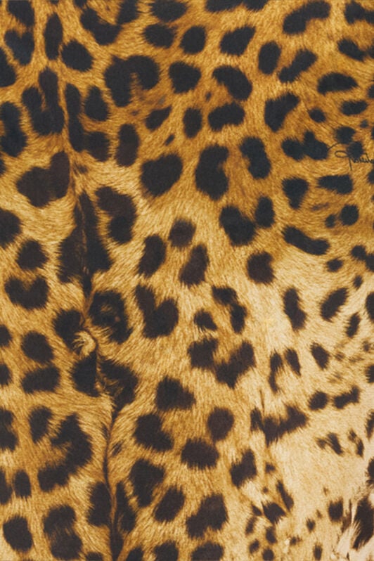 RC Caftan en soie à imprimé Cavalli Pop LIGHT GREEN WQT725-SQR33