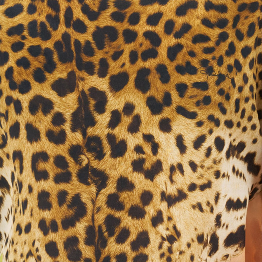 RC Caftan en soie à imprimé Cavalli Pop LIGHT GREEN WQT725-SQR33