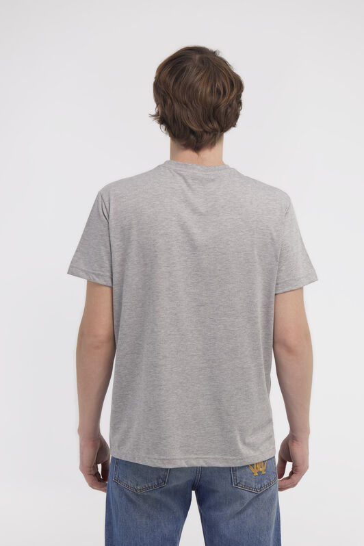 RC T-shirt with Eagle logo and print Gray NOT60E-JD016