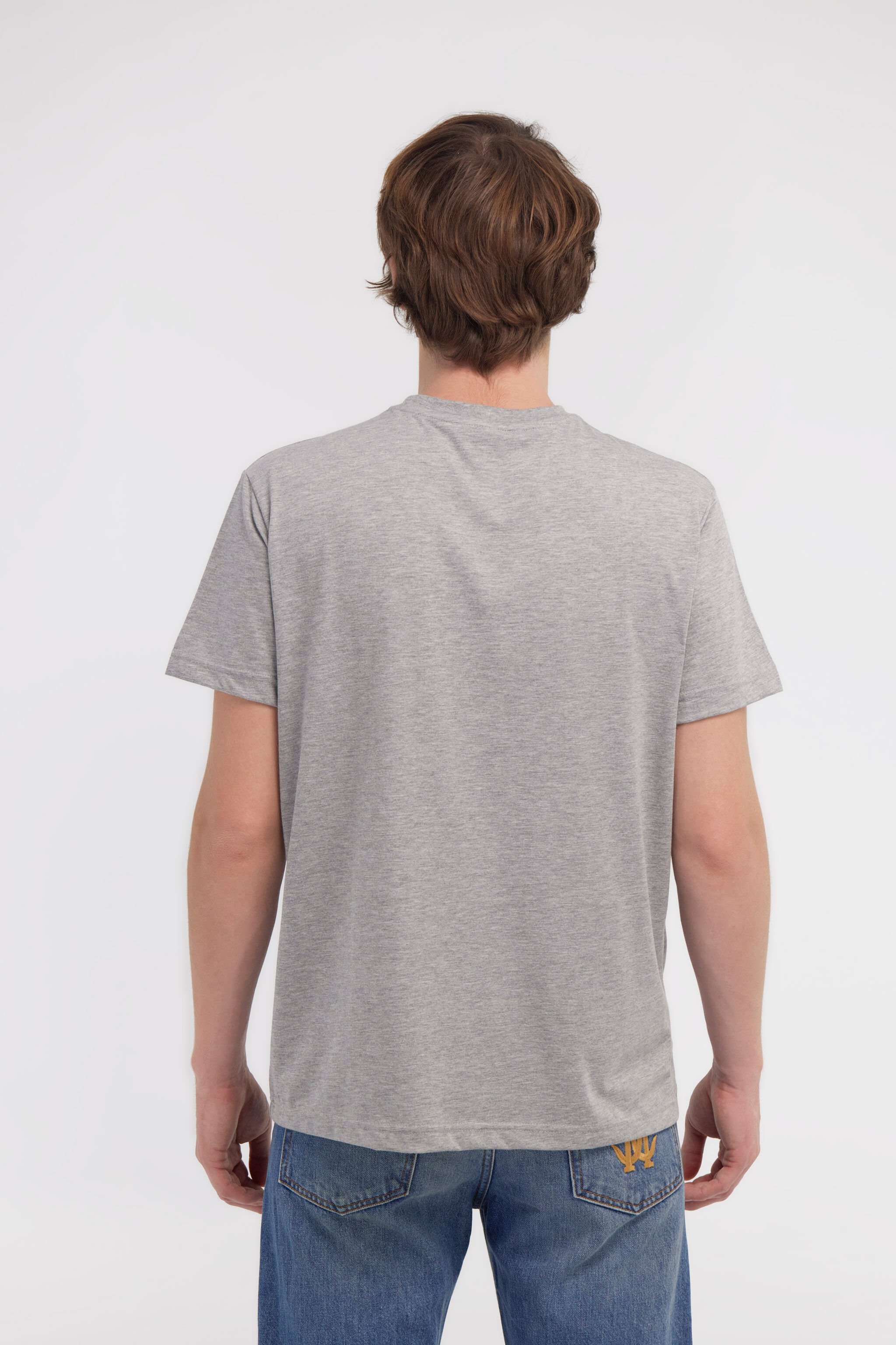 RC T-shirt with Eagle logo and print Gray NOT60E-JD016