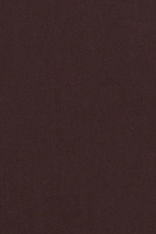 RC Brown One-piece Swimsuit with Cut-out CHOCOLATE WWW007-LL030