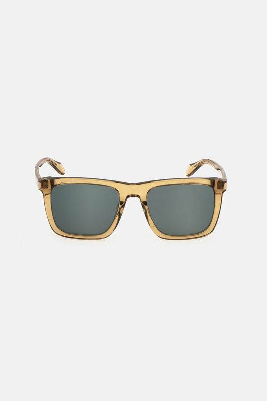 JC Occhiale da sole Just Cavalli Marrone chiaro RALD16-ID019