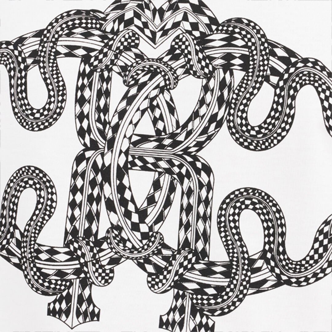 RC T-shirt in Cotone con Stampa Serpente RC T-shirt in Cotone con Stampa Serpente WHITE WNT61H-JD022