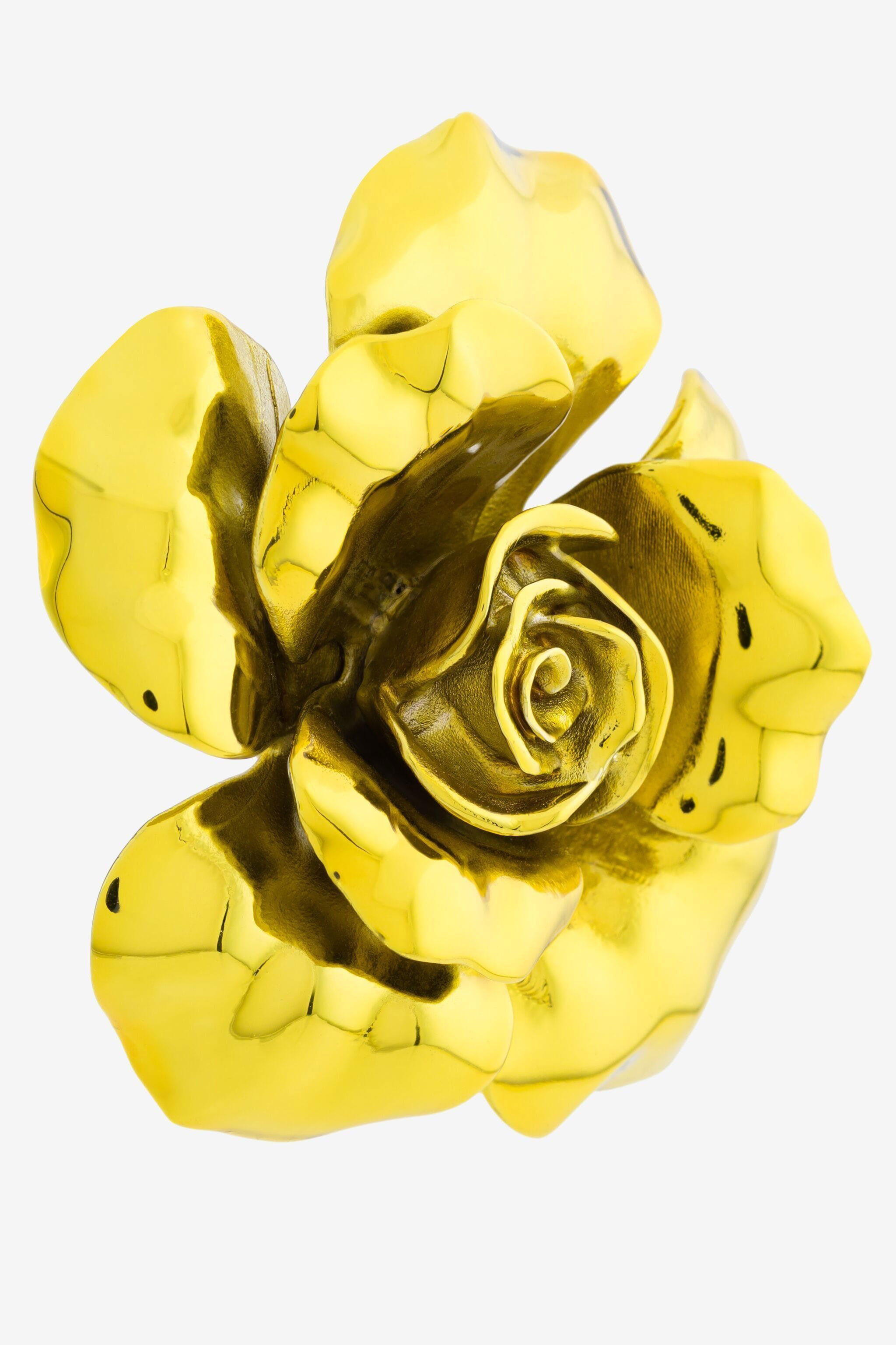 RC Mirror Snake Earrings Yellow QKG017-AM001