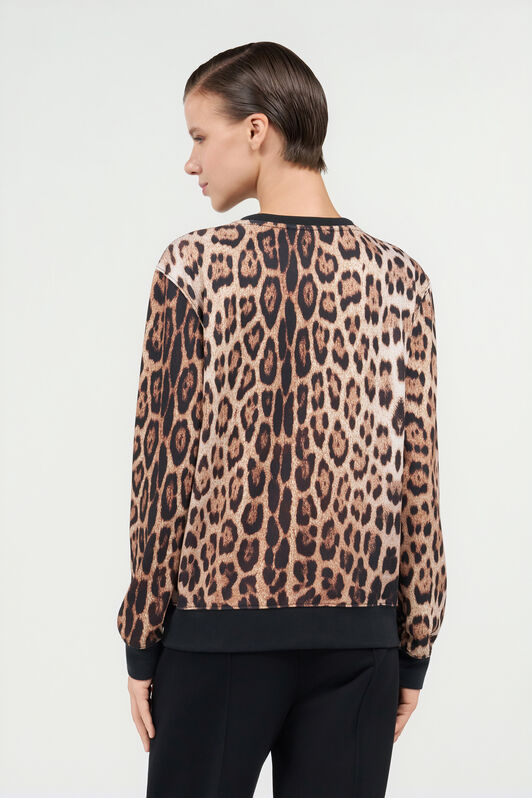 RC Leopard Print Sweatshirt JAGUAR QOT66A-2OG34